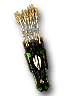 Two Worlds - The Thing of Beauty model.png