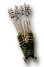 Two Worlds - The Green Claw Quiver model.png