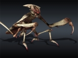 Mantis.jpg