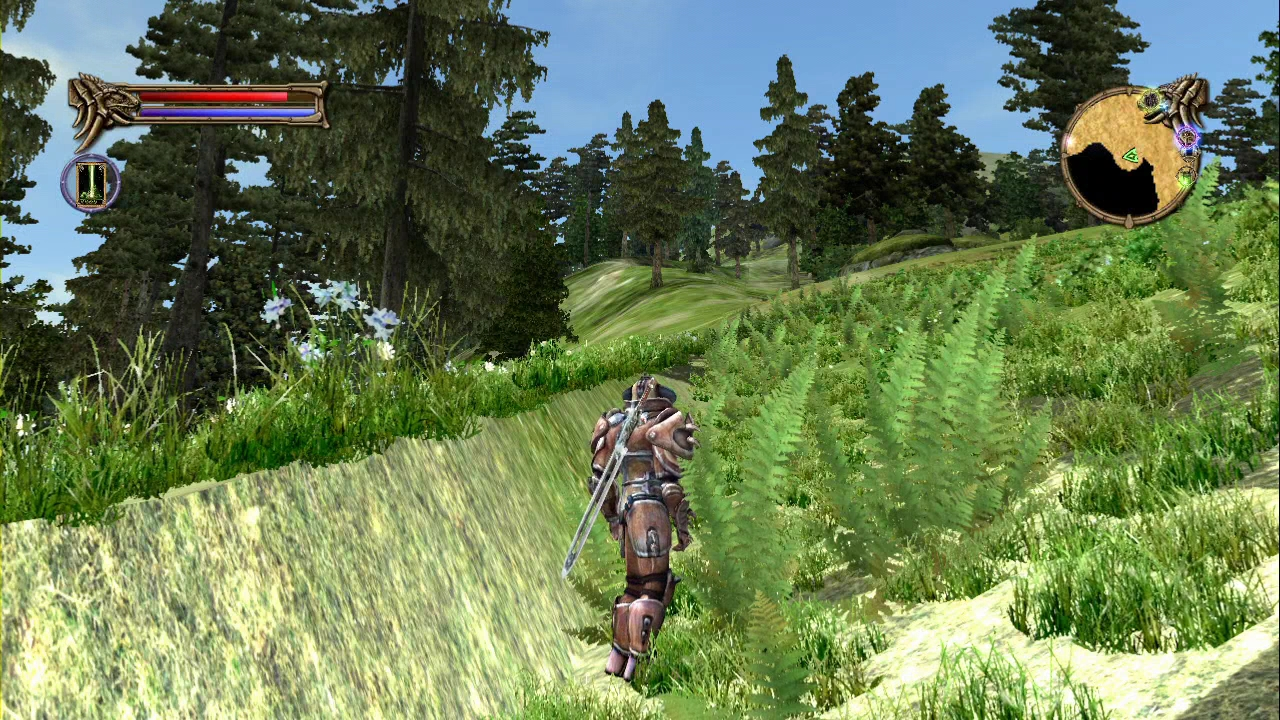 Two Worlds - scenery error 1.png