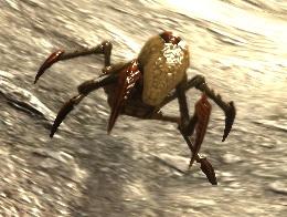 Giant ant.jpg