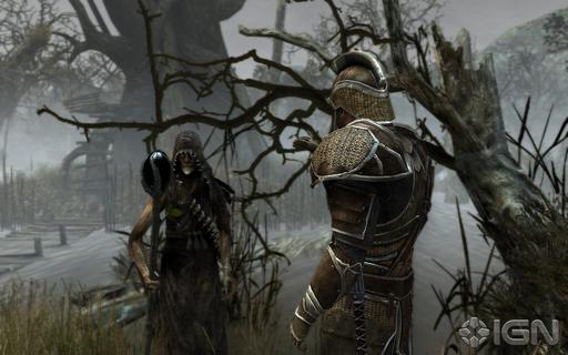 Two Worlds II - Preview 1.jpg