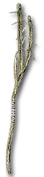 Two Worlds - The Destroyer Stave model.png