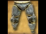 File:Leg Armour Gold-Edged Armored Trousers.jpg