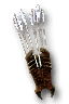 Two Worlds - The Brown Claw Quiver model.png
