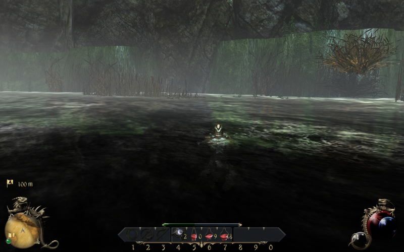 File:Two Worlds II - Well Crystals glitchy lake.png